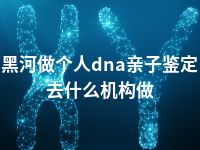 黑河做个人dna亲子鉴定去什么机构做