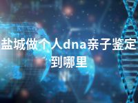 盐城做个人dna亲子鉴定到哪里