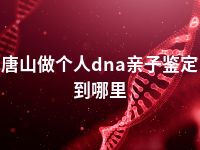 唐山做个人dna亲子鉴定到哪里