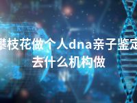 攀枝花做个人dna亲子鉴定去什么机构做