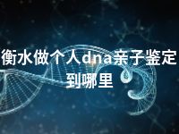 衡水做个人dna亲子鉴定到哪里