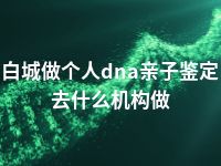 白城做个人dna亲子鉴定去什么机构做