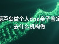 葫芦岛做个人dna亲子鉴定去什么机构做