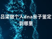 吕梁做个人dna亲子鉴定到哪里