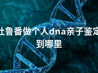 吐鲁番做个人dna亲子鉴定到哪里