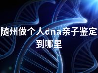 随州做个人dna亲子鉴定到哪里