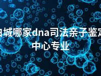 白城哪家dna司法亲子鉴定中心专业