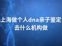 上海做个人dna亲子鉴定去什么机构做