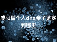 咸阳做个人dna亲子鉴定到哪里