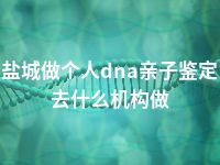 盐城做个人dna亲子鉴定去什么机构做