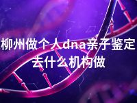 柳州做个人dna亲子鉴定去什么机构做