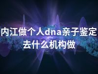 内江做个人dna亲子鉴定去什么机构做