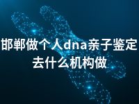 邯郸做个人dna亲子鉴定去什么机构做