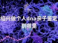 绍兴做个人dna亲子鉴定到哪里