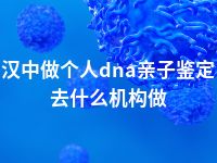 汉中做个人dna亲子鉴定去什么机构做