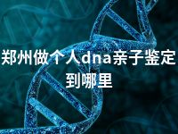 郑州做个人dna亲子鉴定到哪里