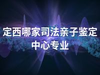 定西哪家司法亲子鉴定中心专业