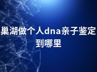 巢湖做个人dna亲子鉴定到哪里