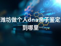 潍坊做个人dna亲子鉴定到哪里