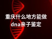 重庆什么地方能做dna亲子鉴定