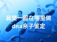 襄樊一般在哪里做dna亲子鉴定