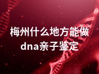 梅州什么地方能做dna亲子鉴定