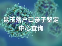 昆玉落户口亲子鉴定中心查询