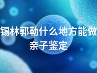 锡林郭勒什么地方能做亲子鉴定