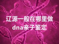 辽源一般在哪里做dna亲子鉴定