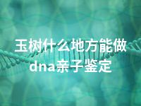 玉树什么地方能做dna亲子鉴定