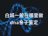 白城一般在哪里做dna亲子鉴定