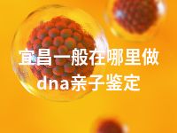 宜昌一般在哪里做dna亲子鉴定