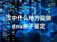 汉中什么地方能做dna亲子鉴定