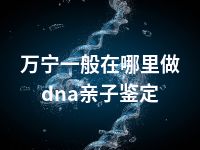 万宁一般在哪里做dna亲子鉴定