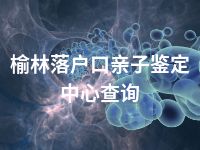 榆林落户口亲子鉴定中心查询