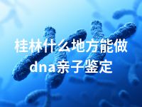 桂林什么地方能做dna亲子鉴定