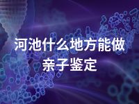 河池什么地方能做亲子鉴定