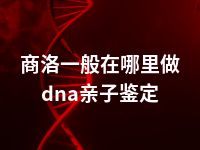 商洛一般在哪里做dna亲子鉴定