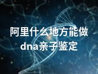 阿里什么地方能做dna亲子鉴定