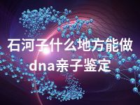 石河子什么地方能做dna亲子鉴定