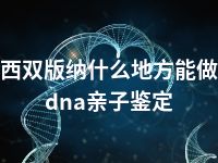 西双版纳什么地方能做dna亲子鉴定