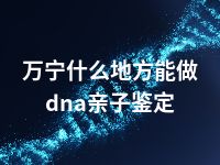 万宁什么地方能做dna亲子鉴定