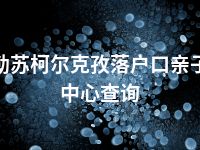 克孜勒苏柯尔克孜落户口亲子鉴定中心查询