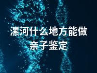 漯河什么地方能做亲子鉴定