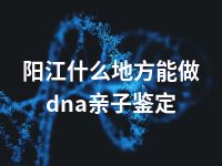 阳江什么地方能做dna亲子鉴定