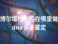 博尔塔拉一般在哪里做dna亲子鉴定