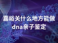 嘉峪关什么地方能做dna亲子鉴定