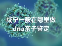 咸宁一般在哪里做dna亲子鉴定