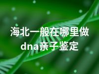 海北一般在哪里做dna亲子鉴定