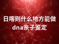 日喀则什么地方能做dna亲子鉴定